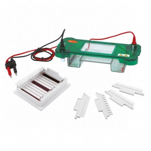 Sistema de electroforesis horizontal dimensión del gel de 78 x 100 mm