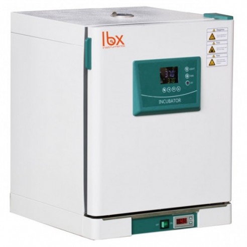 Incubadora de temperatura constante de alta precisión LBX INC65, 45L, cable EU